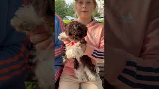 Шабаки-бабаки #веселыеребята #подружки #напрогулке #собакабабака