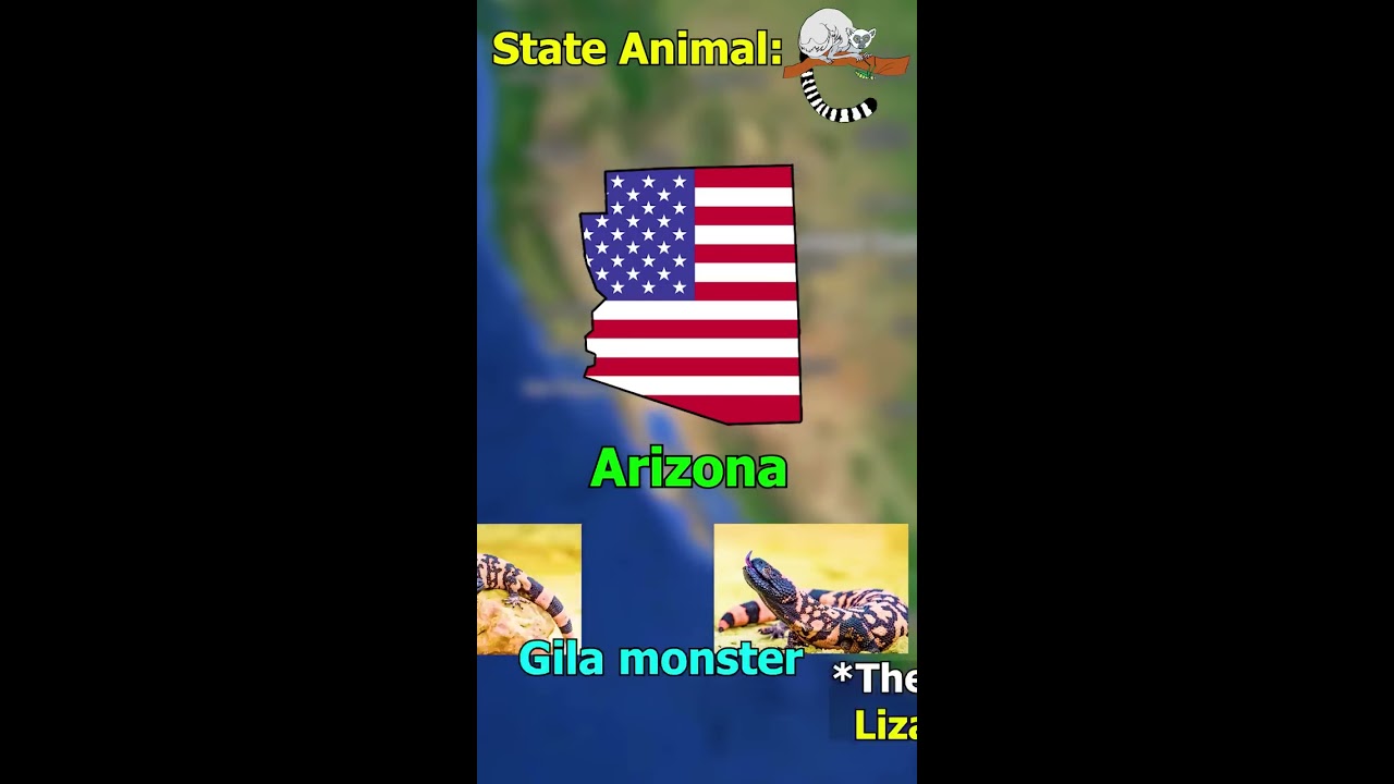 Fun Fact About Every State In USA