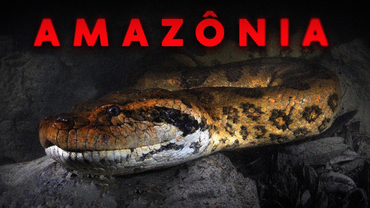 A Amazônia é ASSUSTADORA