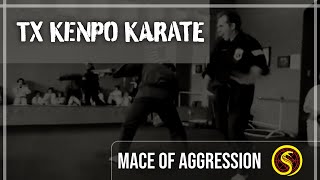 American Kenpo Karate - Mace of Agression Technique - TX Kenpo Karate