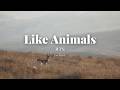 Like Animals BTS Piano Cover Tutorial Piano Sheets 