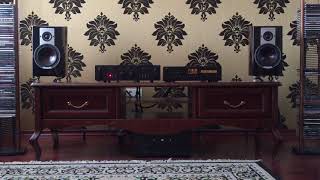 Dali Epicon 2 / Lamm LL 2,1 / Audioquest Volcano / Sugden Masterclass