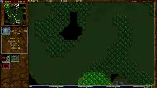Warcraft 2 Remastered/classic 20.5.2026