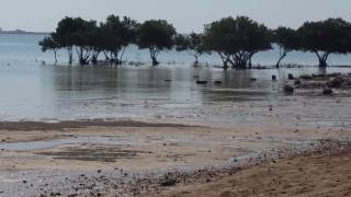 Qatar Simisima beach/قطر شاطئ سميسمة‬‎