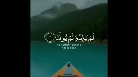 سورة #الإخلاص بصوت فضيلة  القارئ الشيخ:#ماهر_المعيقلي #عادل_الكارح..❤