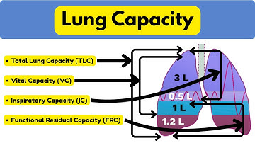 Longcapaciteit | Vitale, inspiratoire, functionele rest- en totale longcapaciteit eenvoudig gemaakt