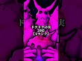 【ブロフル】最強の悪魔の実ランク付けF〜ZZZ(重力はSランク) #bloxfruits #ブロックスフルーツ #roblox #ロブロックス