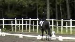 100612 Karro Och Theo Fälttävlan Dressyr