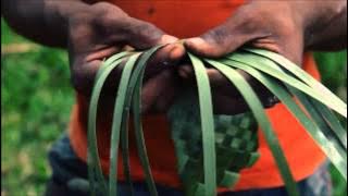 YAA LAYLI - KOPA