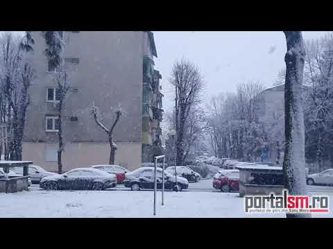 Zăpada mielor în Satu Mare - 12.03.2021