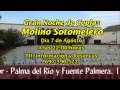 COPLA Y FLAMENCO: EN
