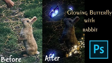 Glowing Butterfly with Rabbit | Photoshop Tutorial | Glowing Effect| Neon Color | Colour Arts98