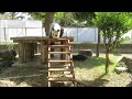屋外展示場、タン検