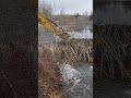 Removal of a beaver dam
