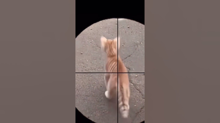 Part 132 _ Funny animals videos from TikTok! Try not to laugh! 😹🐶🤣🔥🤣