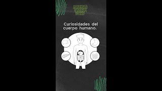 Curiosidades del cuerpo humano 💡