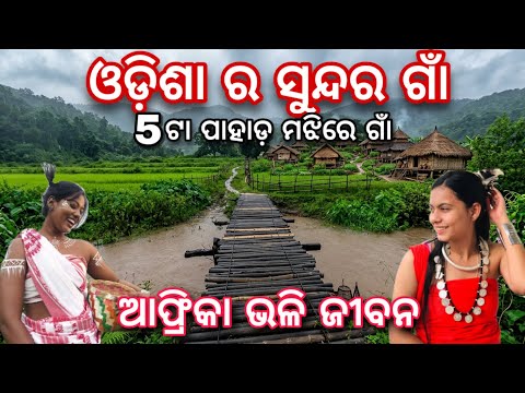 ଓଡ଼ିଶା ରେ ଆଫ୍ରିକା ଭଳି ଜୀବନ ବିଶାଳ ପାହାଡ଼ ତଳ ଗାଁ କାଠ ପୋଲୋ ରେ ପୁରା ଗାଁ | viralvlogs odiavlogs village