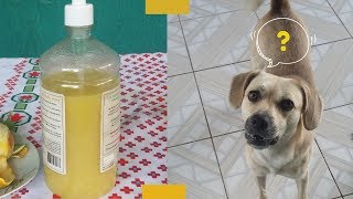 REPELENTE CONTRA XIXI PARA CACHORRO E GATO