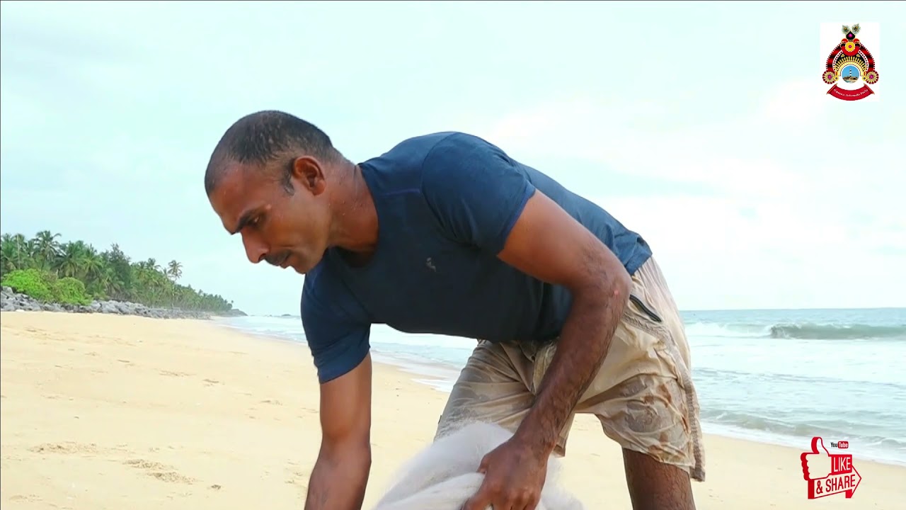 Yard Beach Polipu kaup fishing point