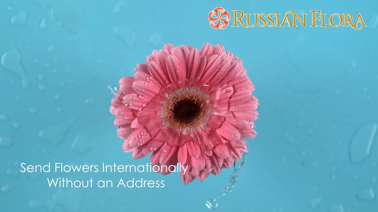 Send Flowers Internationally Without An Address YouTube send-flowers-internationally-without-an-address-youtube