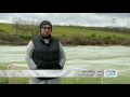 صندوق الدنيا شابة تونسية تترك مهنتها وتطلق مشروعا لتربية الحلزون 