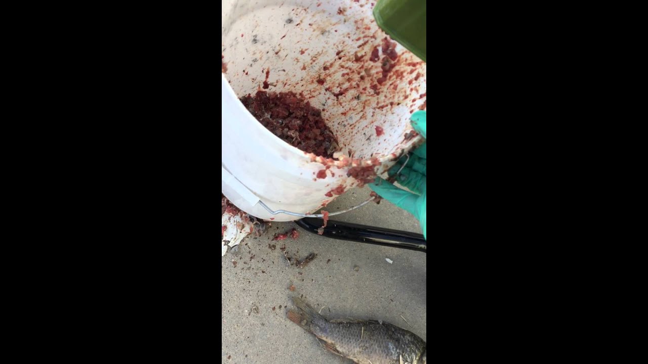 Death by wood chipper. YouTube