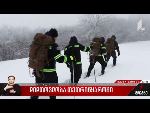 დიდთოვლობამ პრობლემები შექმნა ქვემო ქართლში