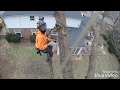 SPEED KILLS (Tree Climbing Fail)