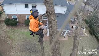 SPEED KILLS (Tree Climbing Fail)