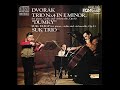 Miniature de la vidéo de la chanson Piano Trio No. 4 In E Minor, Op. 90 "Dumky": Ii. Poco Adagio