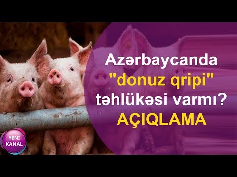 Azərbaycanda \