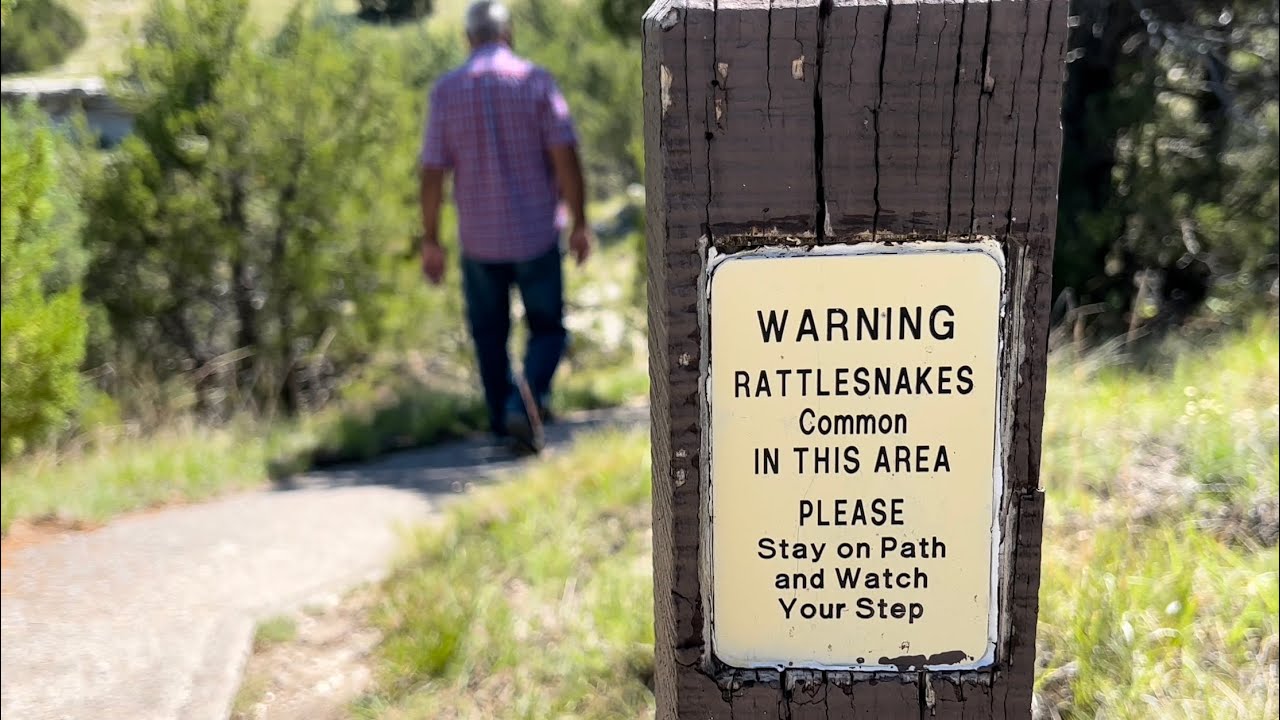 DAY 23 / 2022 Wheat Harvest / July 8 (Lewellen, NE) YouTube