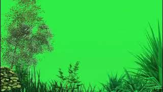 Green Screen Rumput Pohon Bergerak