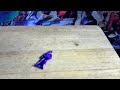 Candy Toy Geki Violet  Ranger Key Review (Kaizoku Sentai Gokaiger)