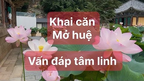 Vấn đáp tâm linh - khai căn mở huệ - Thanh Đồng 364 - Sen Hàn Quốc 