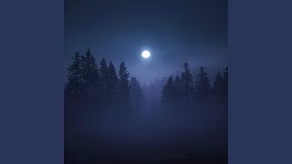 Theta Drift - Anxiety Relief Sleep (6.561 Hz)