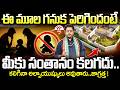 ఈ మూల గనుక పెరిగిందంటే.. మీకు సంతానం కలగదు..జాగ్రత్త ! | South Facing House Vastu in Telugu