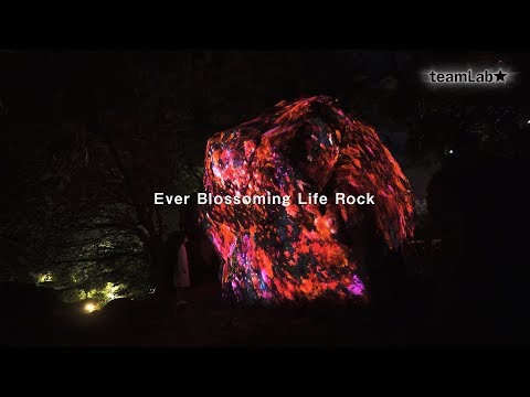 Ever Blossoming Life Rock