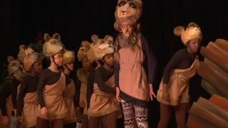 Shadow Land Nala From The Lion King Jr