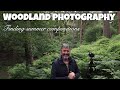 Woodland photography in Norfolk - Summer greens and scouting.