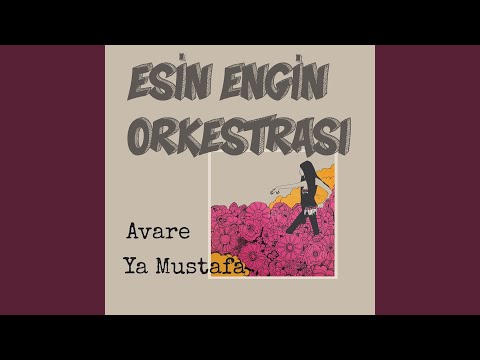 Avare