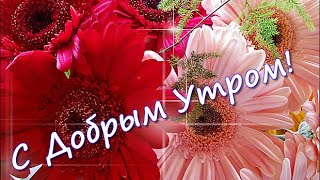 С Добрым Утром! Красивое Пожелание С Добрым Утром. Желаю  Удачи На Весь День!