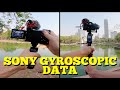Is the Gyro Data any good? | A7siii, A7C, RX0ii, FX9