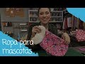 Ropa para mascotas - 26/06/17