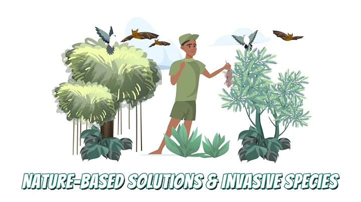 Nature-Based Solutions to Fight Invasive Species in Pacific Island Communities
