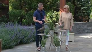 Martha Stewart 13" or 15" Duck Garden Sculpture on QVC