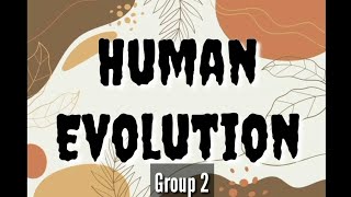 7 Stages of Human Evolution by Group 2