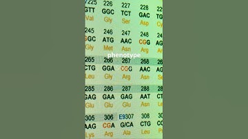 Genotype vs Phenotype simplified!