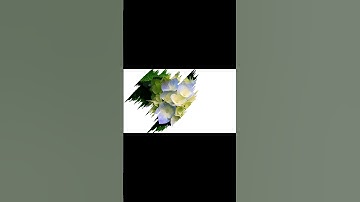 Powerpoint slide with wipe animation