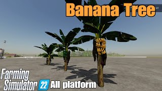 Banana Tree   / FS22 mod for all platforms screenshot 3